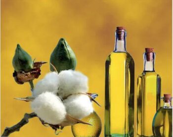 Cottonseed Oil