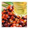 Palm oil