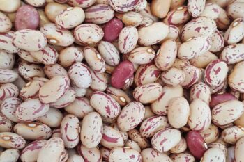 Carioca beans