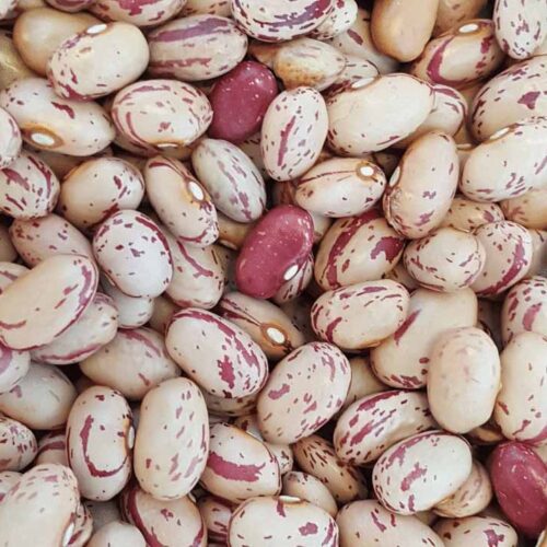 Carioca beans