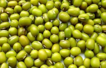 Mung Beans