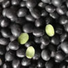 Black soybeans