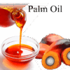 Palm oil