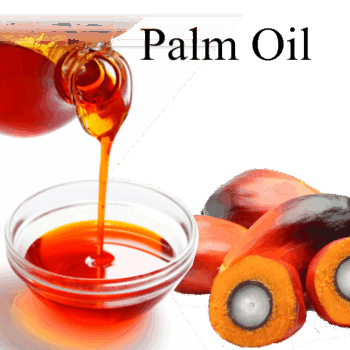 Palm oil
