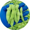 Green soybeans