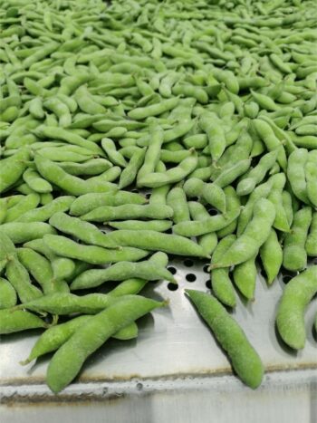 Green soybeans