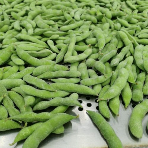 Green soybeans