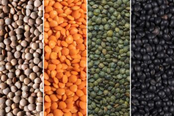 Other Special Varieties(Brown, black, yellow) Lentils