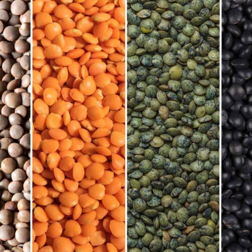 Other Special Varieties(Brown, black, yellow) Lentils