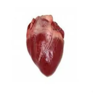 Frozen Pork Heart