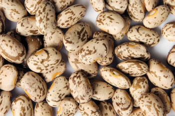 Pinto beans