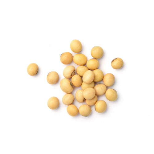 Yellow soybeans